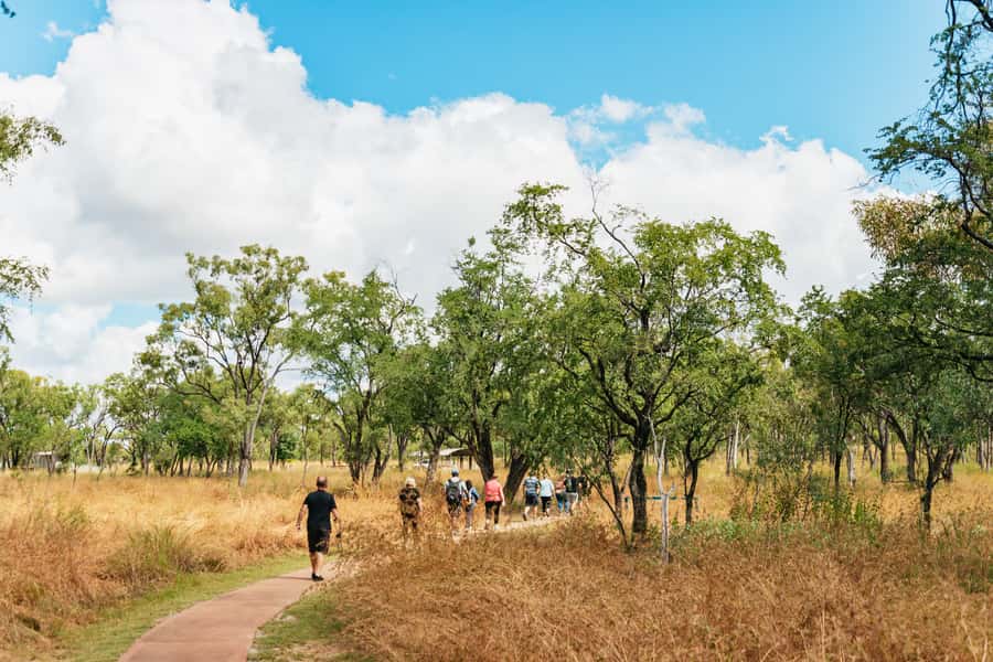 From Cairns: Chillagoe Caves and Outback Full-Day Tour - Skybury Coffee Plantation morning tea: a well-timed reset
