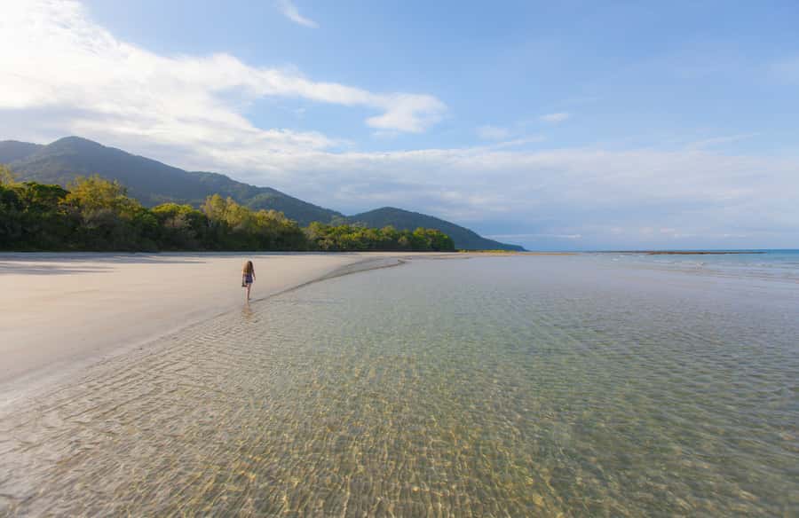 From Cairns: Daintree Wilderness & Cape Tribulation Bus Tour - Key points before you go