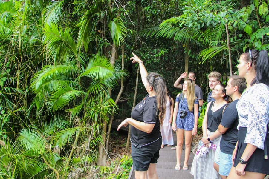 From Cairns: Daintree Wilderness & Cape Tribulation Bus Tour - Wildlife Habitat: five environments and the value of guided animal time