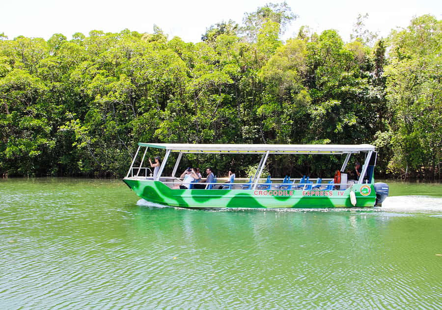 From Cairns: Daintree Wilderness & Cape Tribulation Bus Tour - Getting from Cairns: the long coach ride you should actually plan for