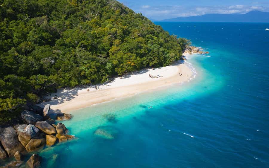 From Cairns: Fitzroy Island Day Trip by Ferry - Key highlights you’ll feel on the day