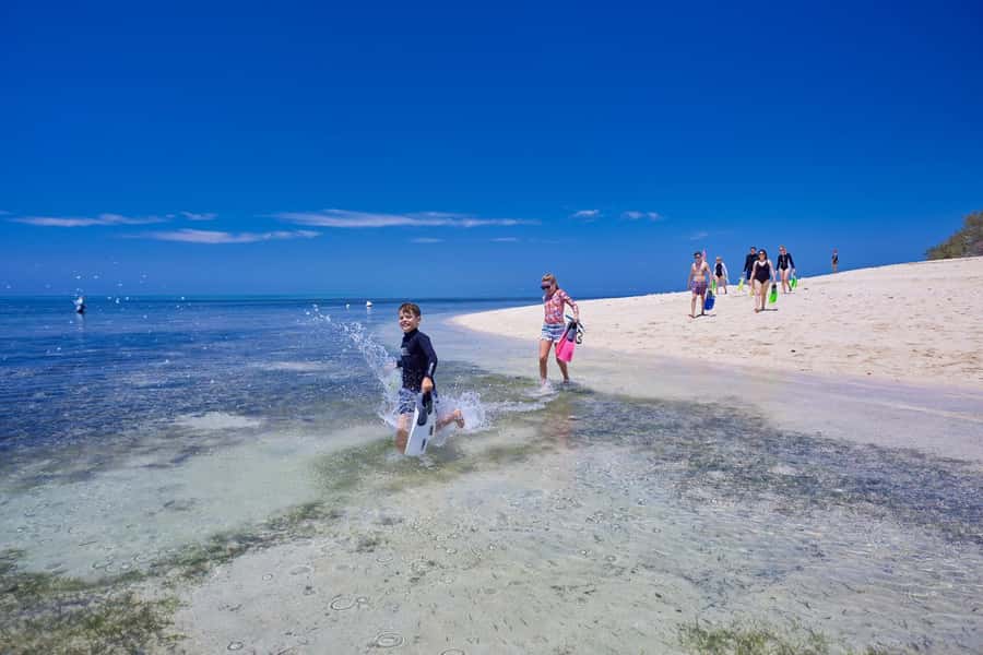 From Cairns: Green Island Full-Day Cruise - Who This Cruise Fits Best (and Who Might Want Another Option)