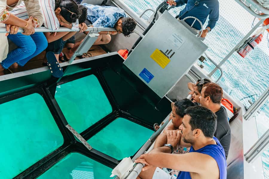 From Cairns: Green Island Full-Day Cruise - Island Time on White Sand: Relaxation Is Part of the Package