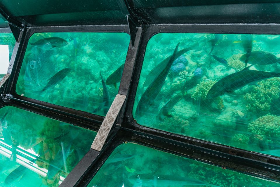 From Cairns: Green Island Full-Day Cruise - Lunch on the Water: Included When You Choose It