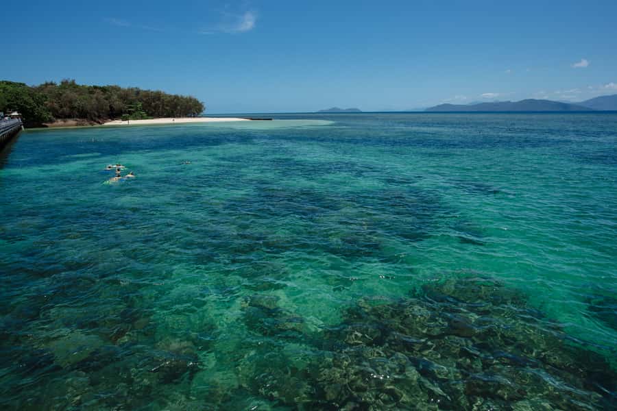 From Cairns: Green Island Half-Day Morning Cruise - Key highlights you’ll care about