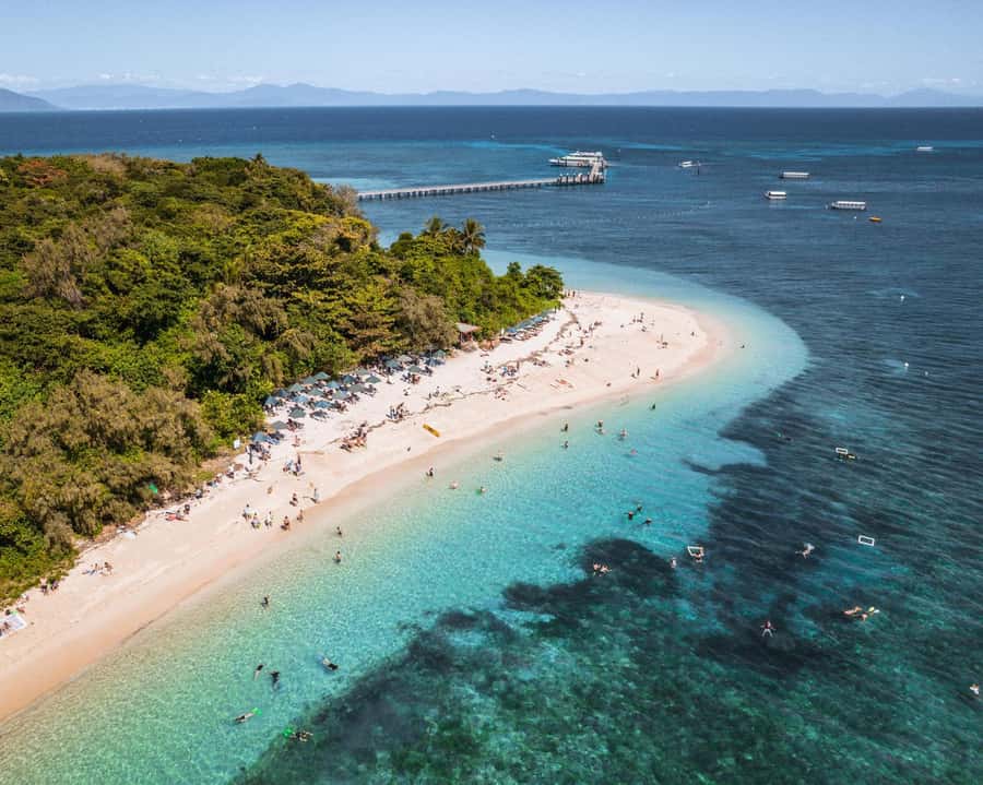 From Cairns: Green Island Half-Day Morning Cruise - Reef Rocket to Green Island: the fast trip that feels low-stress