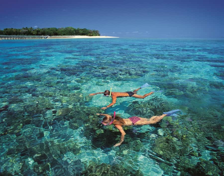 From Cairns: Green Island Half-Day Morning Cruise - If you’d rather stay dry: glass-bottom boat and semi-submersible viewing
