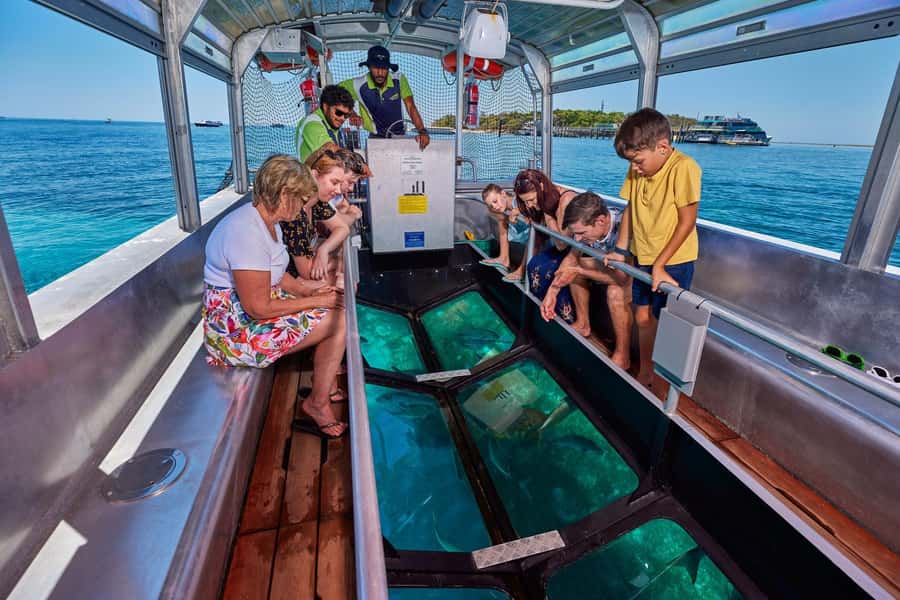 From Cairns: Green Island Half-Day Morning Cruise - Price and value: what $77 buys you (and what it doesn’t)