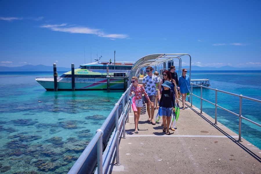 From Cairns: Green Island Half-Day Morning Cruise - Snorkelling on Green Island: coral gardens, fish close to you