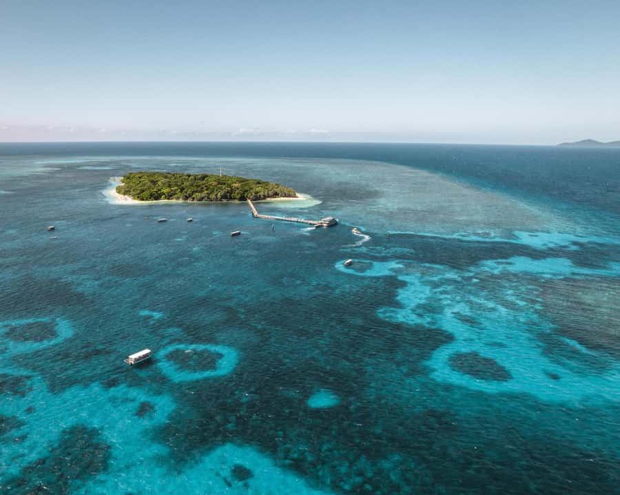 From Cairns: Half-Day Afternoon Cruise to Green Island - Why This Green Island Cruise Feels Like a Perfect Cairns Half-Day