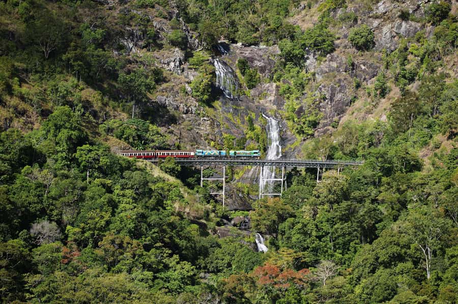 From Cairns: Kuranda Tour with Transfer - Picking up from Cairns: why the morning timing matters