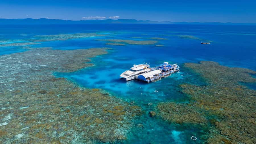 From Cairns: Outer Reef Pontoon, Island & Helicopter Tour - Key Reef-and-Island Highlights You’ll Actually Feel on the Day