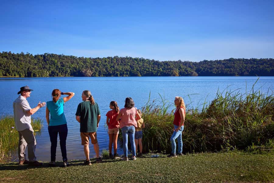 From Cairns: Rainforest & Nocturnal Wildlife Tour - Logistics that can make or break the day