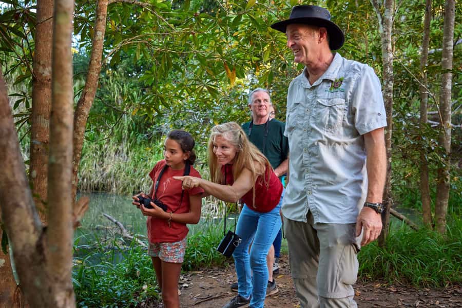 From Cairns: Rainforest & Nocturnal Wildlife Tour - The daytime warm-up: city wallabies and a Cathedral Fig Tree