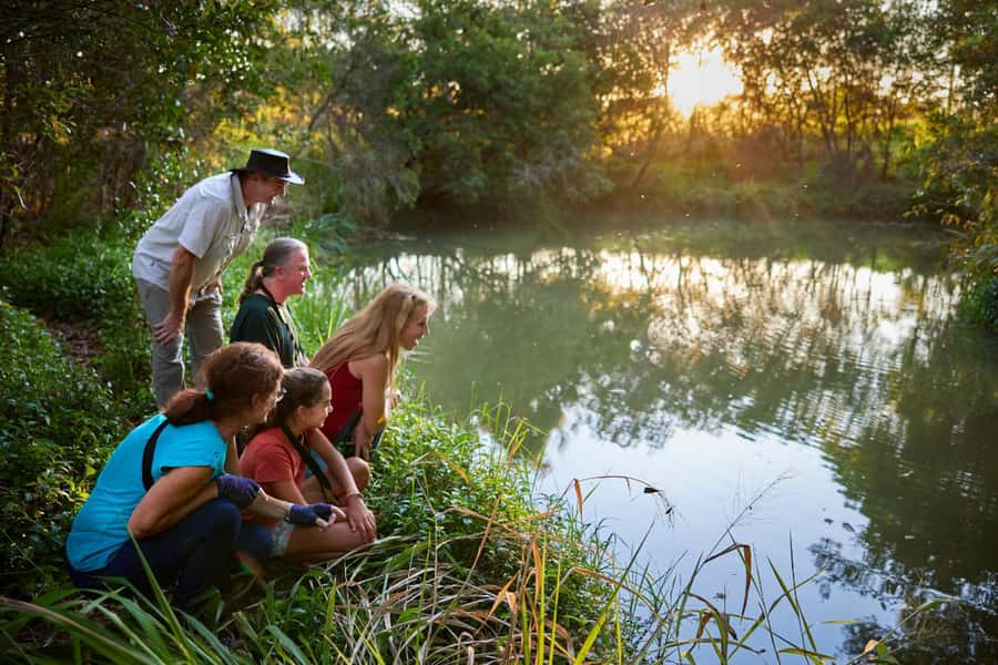 From Cairns: Rainforest & Nocturnal Wildlife Tour - Lake Eacham stop: a short scenic pause that helps the day rhythm
