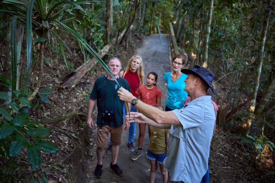 From Cairns: Rainforest & Nocturnal Wildlife Tour - Platypus viewing near Yungaburra: what you’re really aiming for