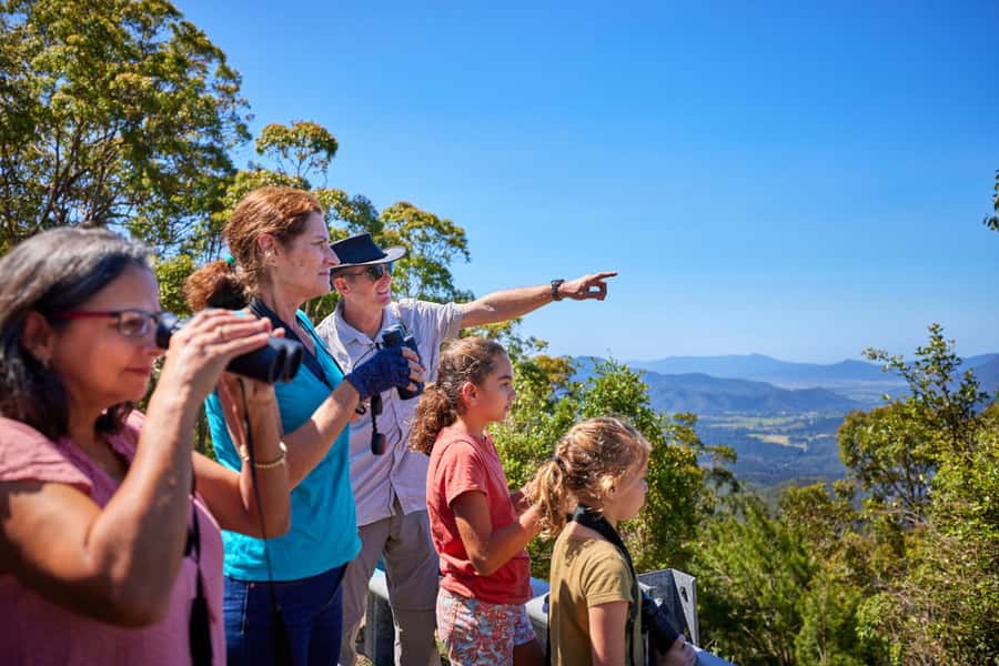 From Cairns: Rainforest & Nocturnal Wildlife Tour - Getting from Cairns to the Tablelands without fuss