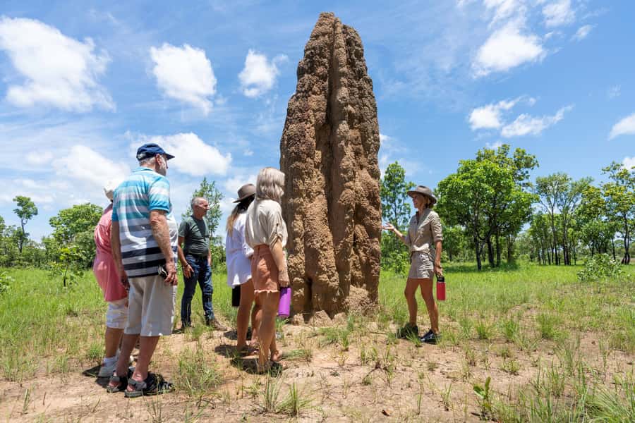 From Darwin: 3-Day Kakadu and Litchfield 4WD Camping Tour - Bowali Visitor Center: your practical introduction to Kakadu