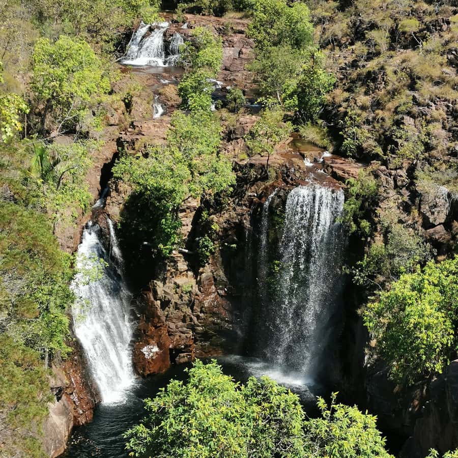 From Darwin: Litchfield National Park Small-Group Day Trip - Magnetic and Cathedral termite mounds: watching the bush build