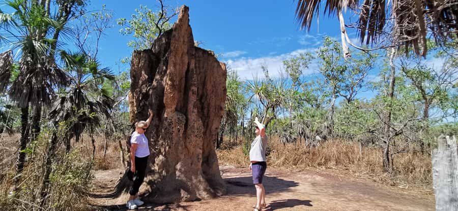 From Darwin: Litchfield National Park Small-Group Day Trip - The 8:00 am pickup and the Batchelor stop that breaks up the drive