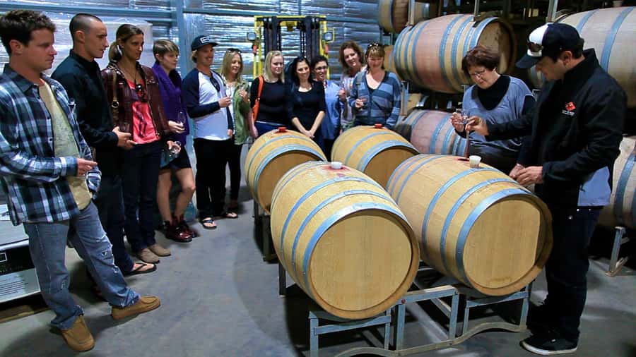From Dunsborough/Busselton: Margaret River Wine Adventure - Key things to know before you go