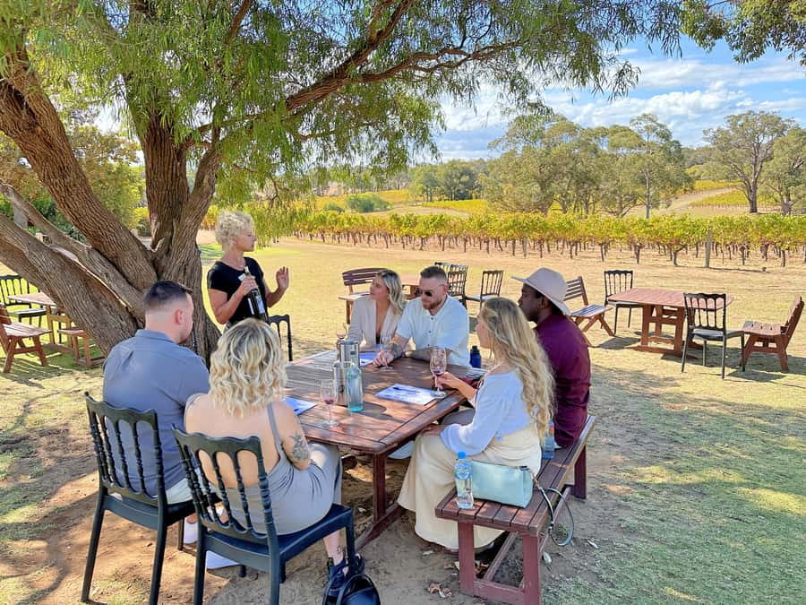 From Dunsborough/Busselton: Margaret River Wine Adventure - Practical tips so you enjoy every stop