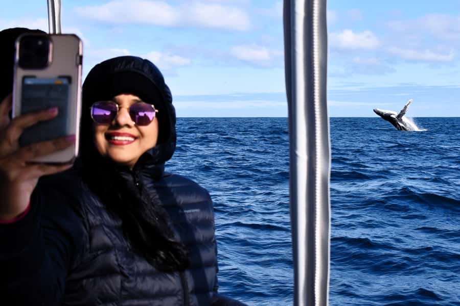 From Fremantle: 2-Hour Luxury Whale-Watching Cruise - Live expert commentary: why it makes the sightings better