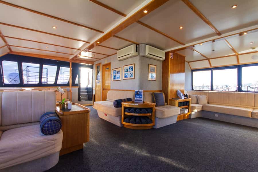From Fremantle: 2-Hour Luxury Whale-Watching Cruise - Before you go: what to bring and how to get the best views