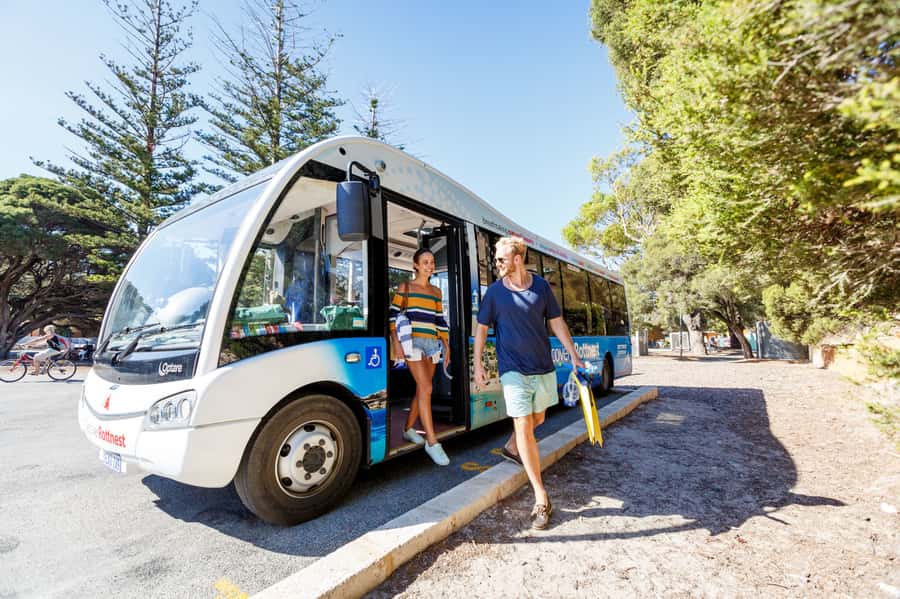 From Fremantle: Rottnest Island Ferry & Bus Day Tour - Fremantle departure: your day starts at Rottnest Express B Shed