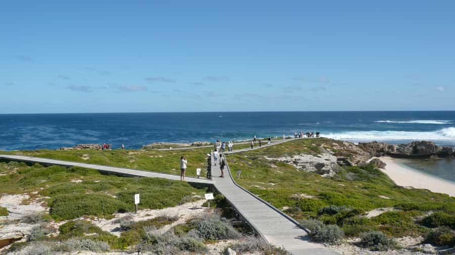 From Fremantle: Rottnest Island Ferry & Bus Day Tour - Wadjemup Lighthouse and the island’s animal and plant life
