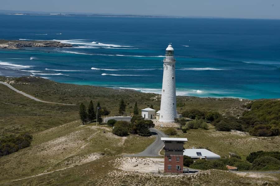 From Fremantle: Rottnest Island Ferry & Bus Day Tour - Price and value: is $112 worth it for a day trip?