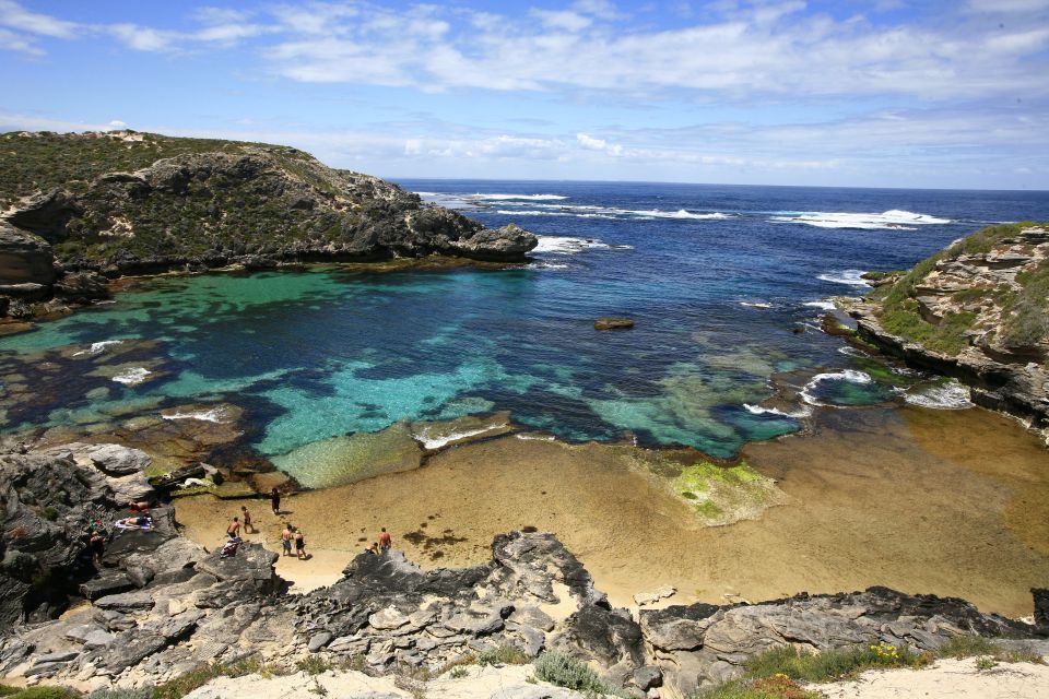 From Fremantle: Rottnest Island Ferry & Bus Day Tour - Logistics that matter: timing, tickets, and what to pack