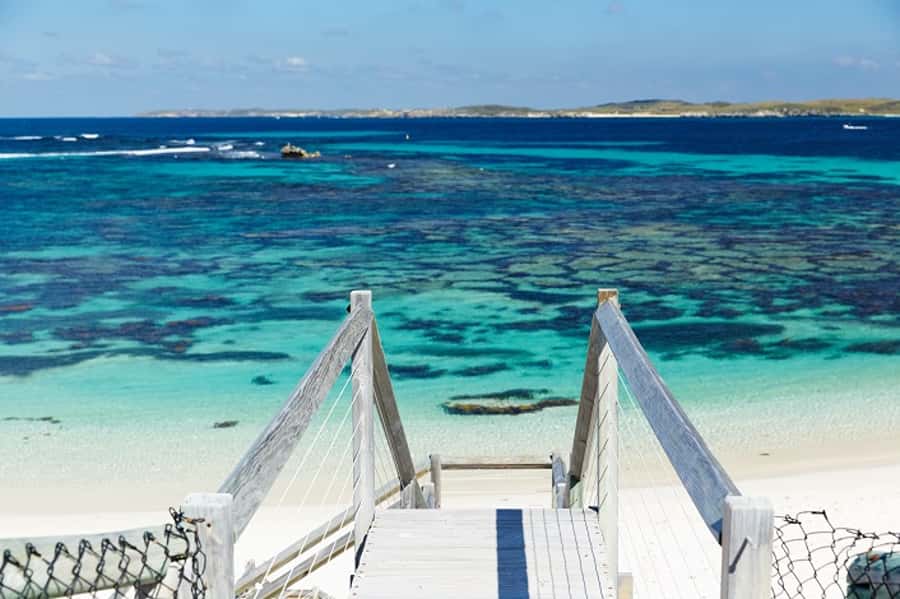 From Fremantle: Rottnest Island Ferry & Bus Day Tour - FAQ