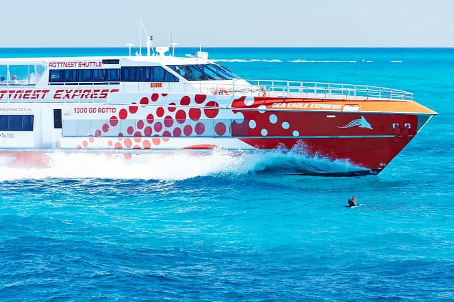 From Fremantle: Rottnest Island Ferry & Bus Day Tour - Rottnest free time: quokkas, beaches, and choosing your pace