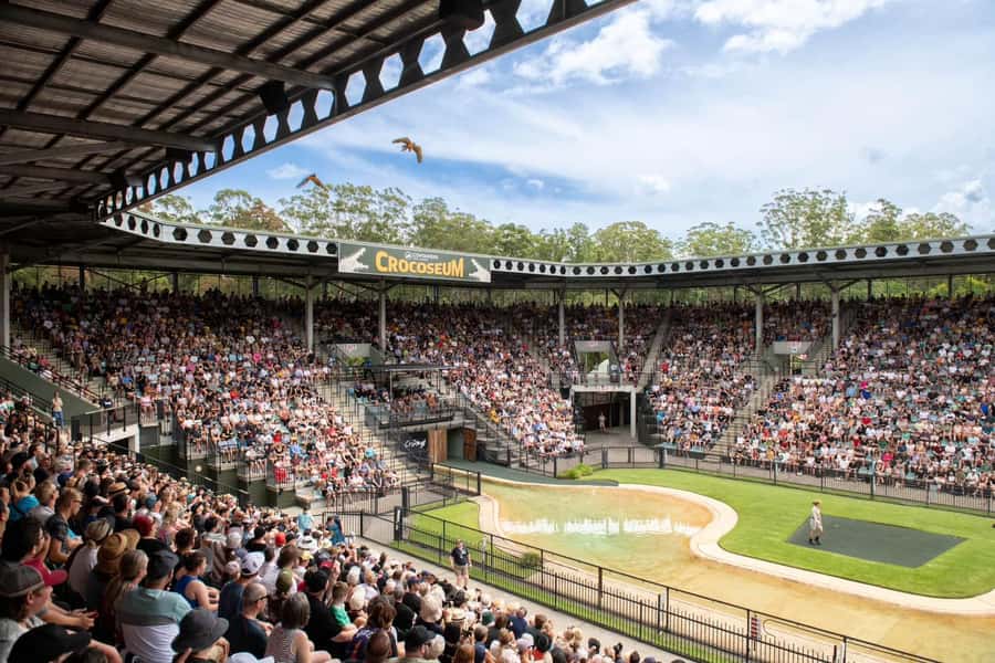 From Gold Coast : Australia Zoo Transfer and Entry Ticket - Gold Coast to Australia Zoo: how the day really flows