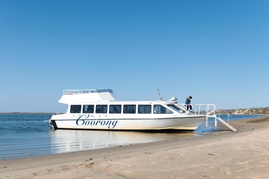 From Goolwa: Full Day Coorong Experience - Beach walk, Indigenous midden sites, and bush-tucker learning