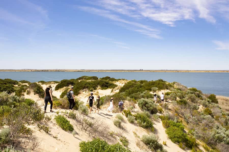 From Goolwa: Full Day Coorong Experience - Second shore excursion: sand dunes and Ngarrindjeri cultural sites