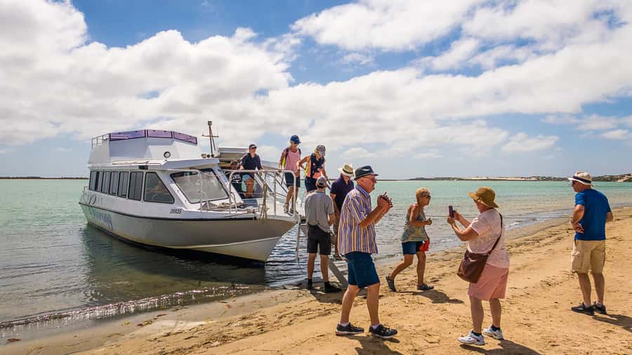 From Goolwa: Half-Day Coorong Experience - Through the Barrage: Locks, Sea Level, and Lazy Seals