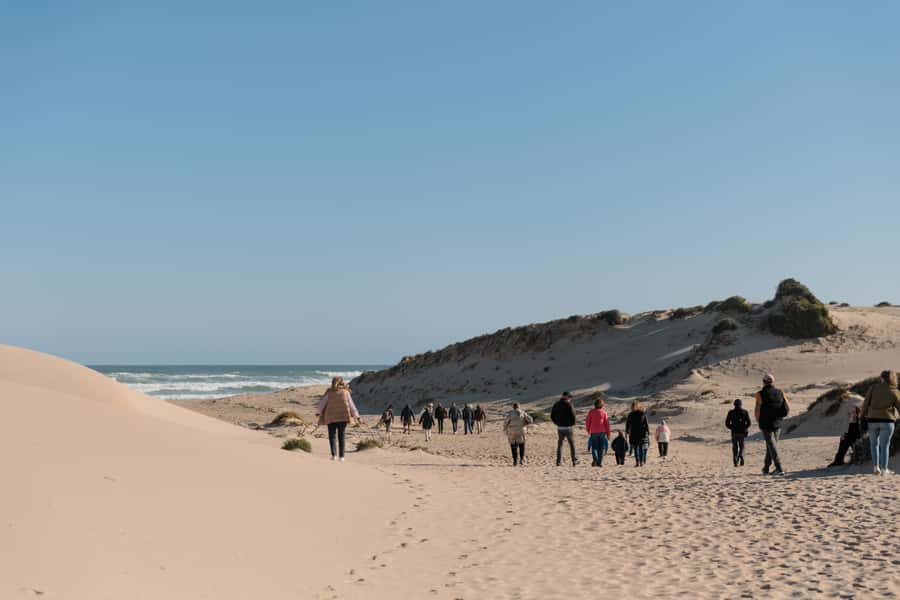 From Goolwa: Half-Day Coorong Experience - How Long It Really Feels: 3.5 Hours Done Right