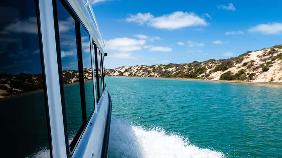 From Goolwa: Half-Day Coorong Experience - Following the Murray’s Last Kilometres to the Murray Mouth