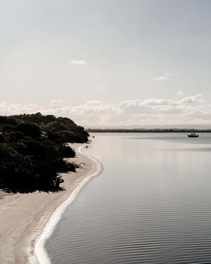 From Goolwa: Murray Mouth Cruise - The boat experience: comfort, speed, and how to not miss the talk