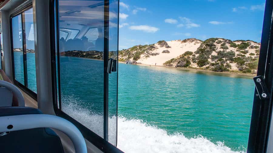 From Goolwa: Murray Mouth Cruise - Who should book this Murray Mouth cruise?