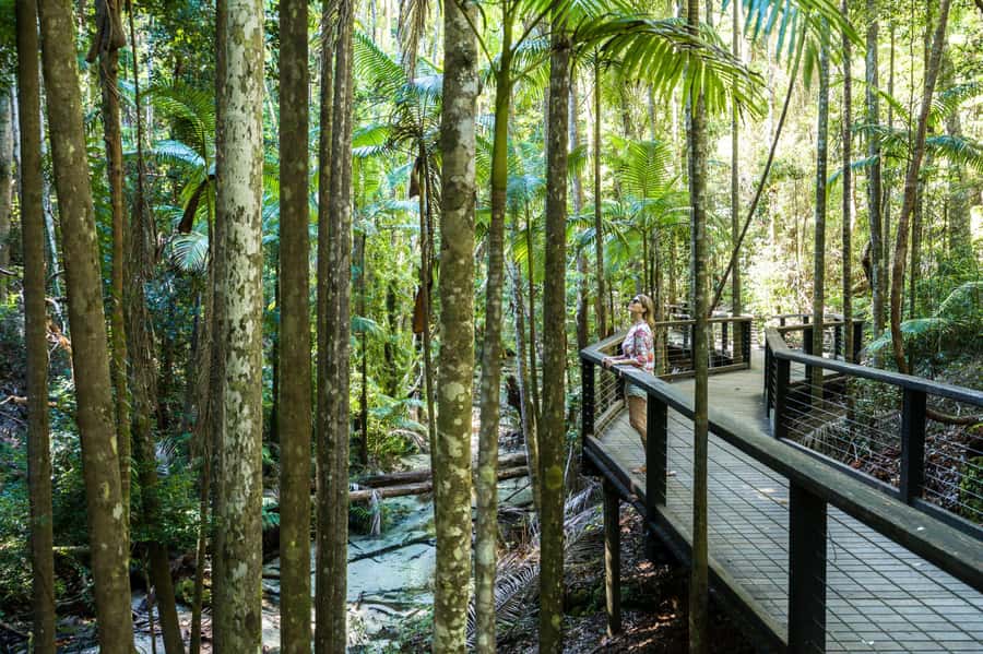 From Hervey Bay: K'gari, Fraser Island Two-Day Coach Tour - Why This K’gari Tour Works So Well (Even If You Only Have 2 Days)