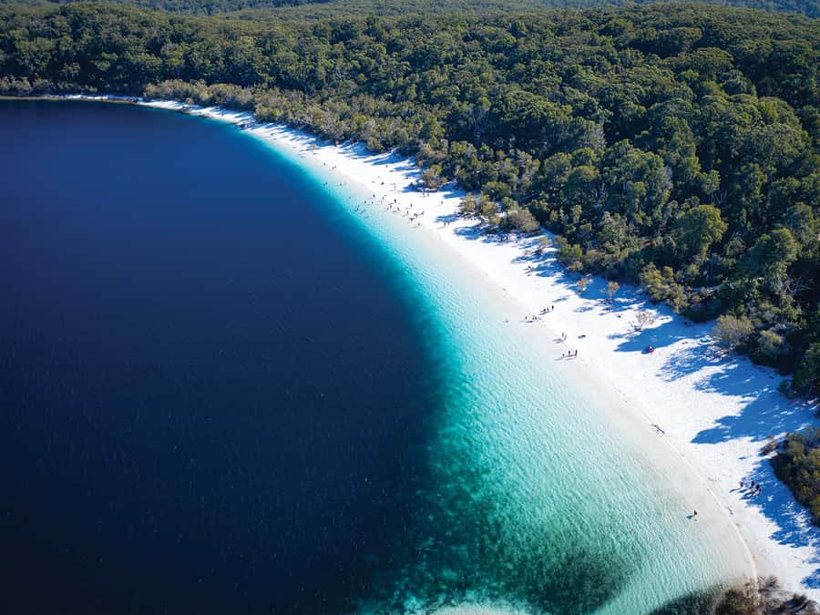 From Hervey Bay: K'gari, Fraser Island Two-Day Coach Tour - Day 1: Central Station, Rainforest Boardwalks, Lake McKenzie, and the Eli Creek Float