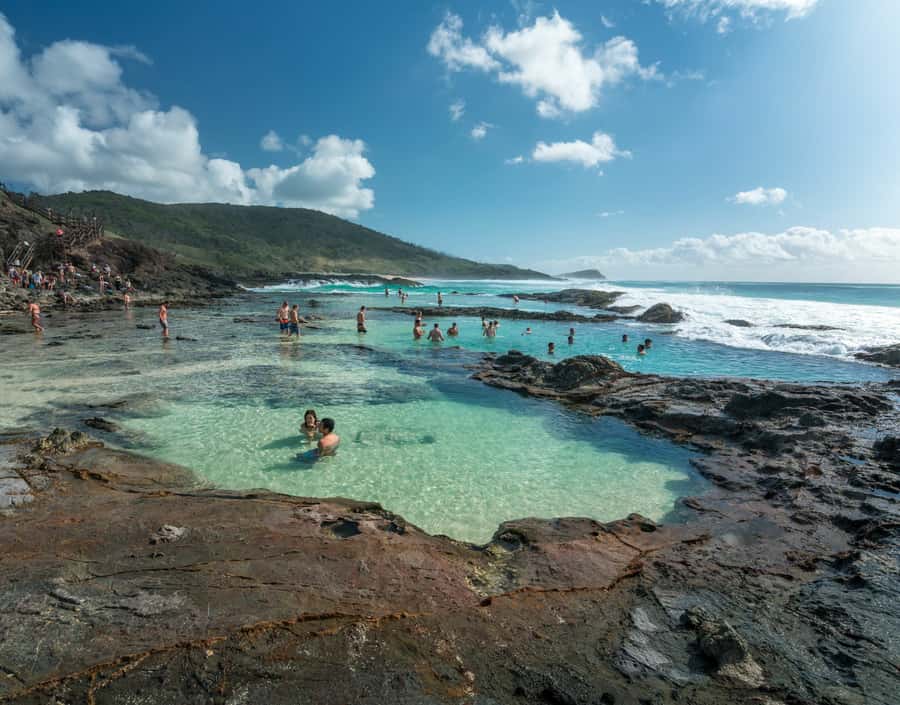 From Hervey Bay: K'gari, Fraser Island Two-Day Coach Tour - Wildlife, Guides, and the Kind of Attention You Get