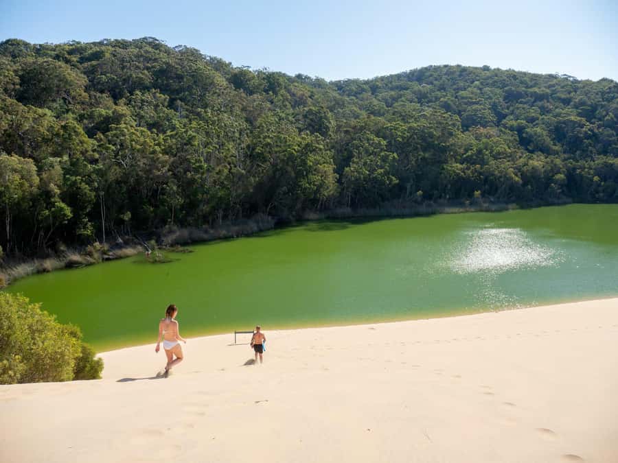 From Hervey Bay: K'gari, Fraser Island Two-Day Coach Tour - Getting to K’gari: The Hervey Bay Pickup and Great Sandy Marine Park Cruise