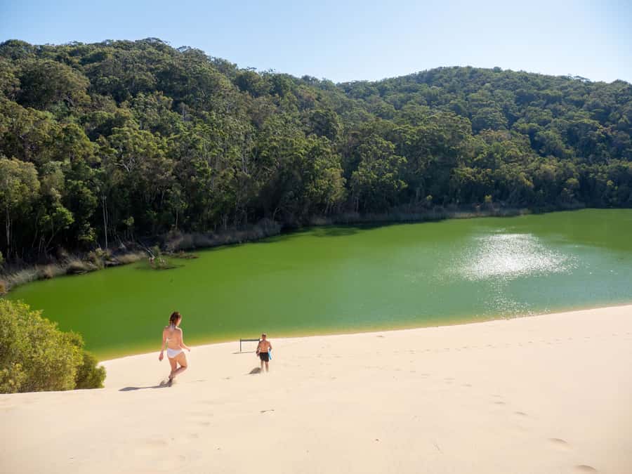 From Hervey Bay: K'gari Getaway Three-day 4WD Coach Tour - What you’re paying for: the value logic behind $569 per person