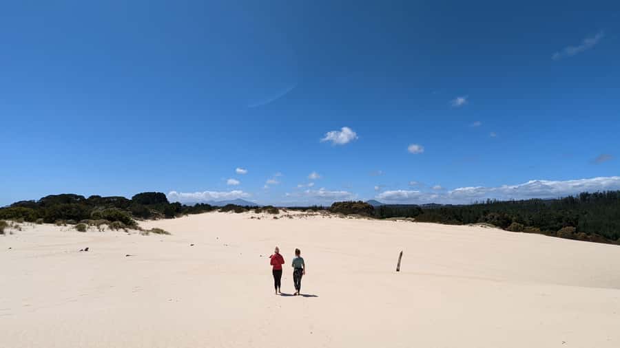 From Hobart: 5-Day Tasmania West & East Coast Tour - Day 4: Bay of Fires orange lichen, palawa culture, and Bicheno penguins