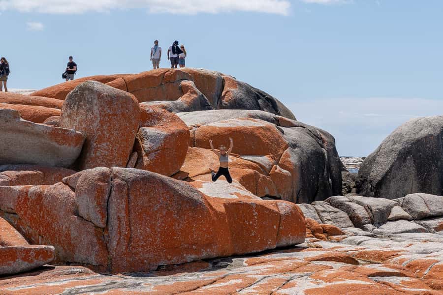 From Hobart: 5-Day Tasmania West & East Coast Tour - Day 1: Hobart to Strahan through Russell Falls and Lake St Clair