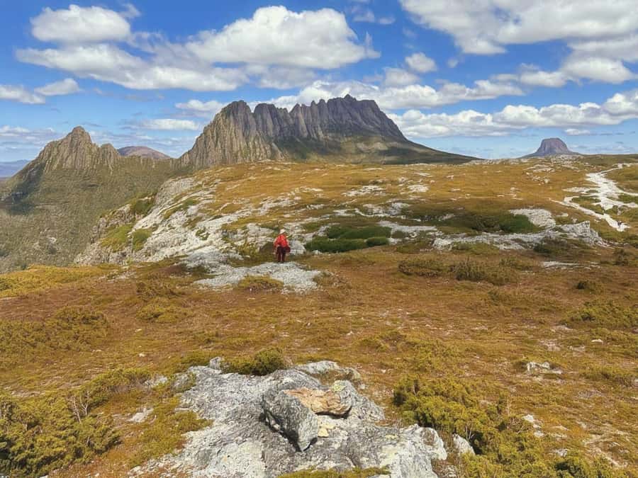 From Hobart: Active Day Trip to Cradle Mountain - Wildlife and Weather: The Day’s Real Story